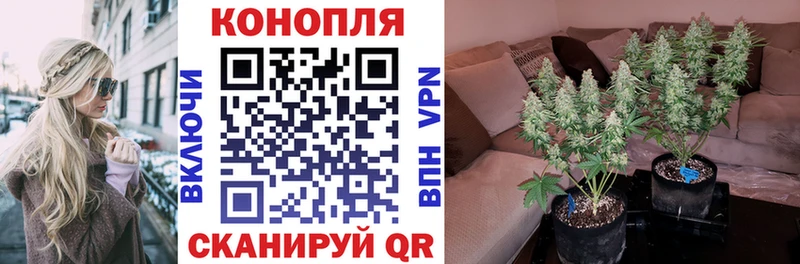 Купить наркотики Оренбург ГАШИШ  Меф 