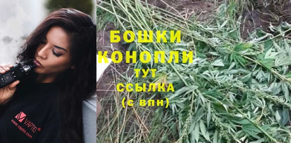 СК Горнозаводск
