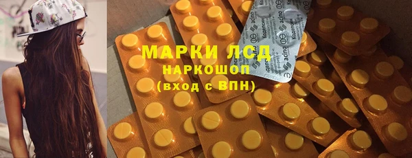 СК Горнозаводск