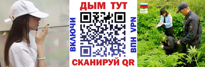 наркотики  Оренбург  Конопля семена 